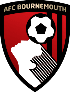 afcbournemouth2013